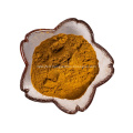 maca root extract powder 10:1 male health